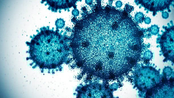 Representative/Getty Images : CHPV is a member of the Vesiculovirus genus of the family Rhabdoviridae. | 